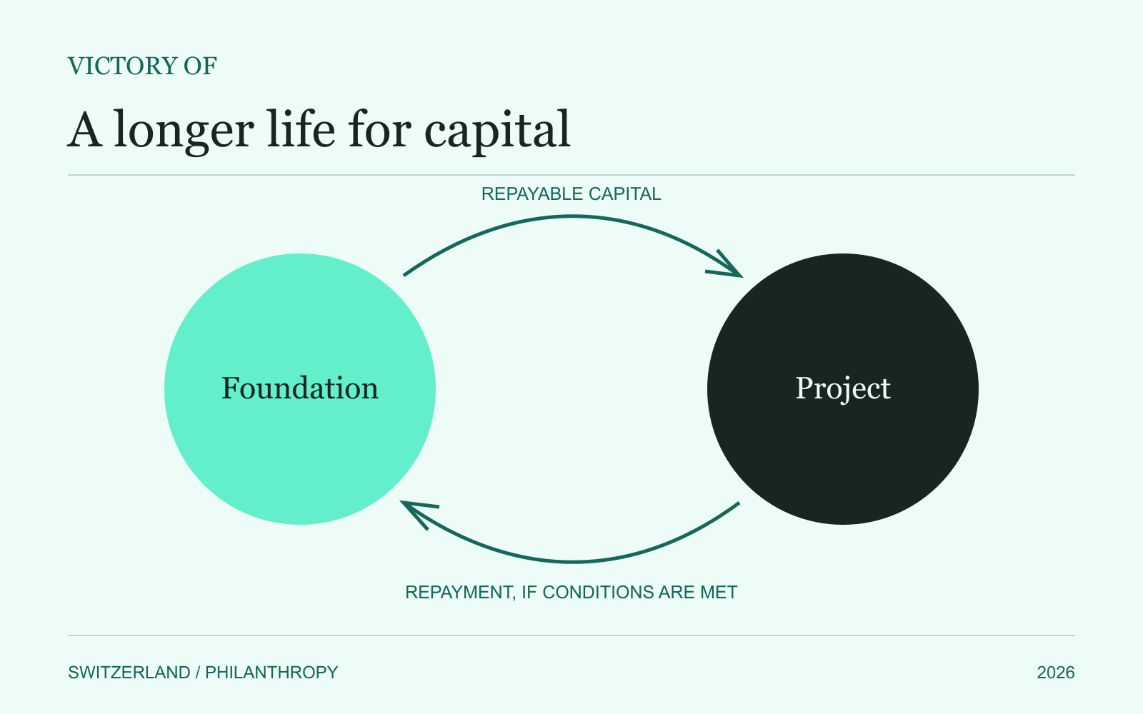 Repayable philanthropic capital: foundation and project